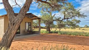 Jansen Kalahari Guest Farm