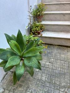 A Casuzza di Giú Giú - NUOVA GESTIONE