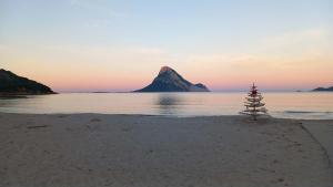 Perla marina San Teodoro img27