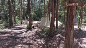 Elebanah Luxury Camping