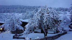 Stylish coziness in the cross-country skiing paradise of Goms!