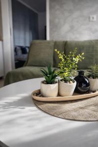 Apartament Salina Turda