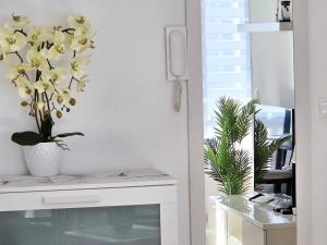 Apartments near Del Cura and Los Locos beaches