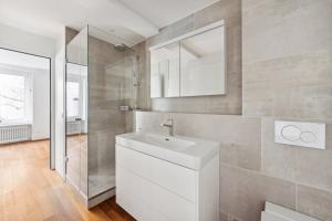 Newly renovated apartment next to Lake Zurich with private terrace