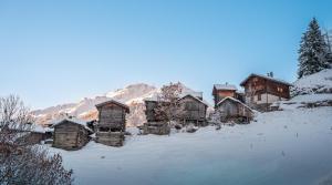 Ferme du Grand Bisse - Gîte agritouristique