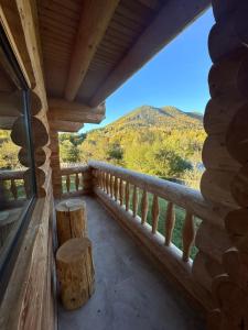 Chalet in Muntii Vrancei