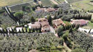 Agriturismo Il Piastrino