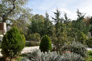 Trikalon Muses Art Suites