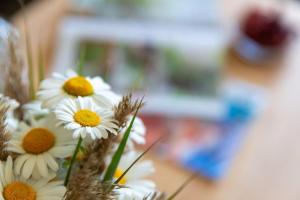 Hus-Pellworm-2-Ferienwohnung-Meereswelle