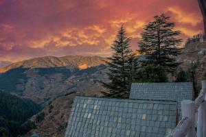 Nesta Narkanda Cottage, Rooms and Guided Treks