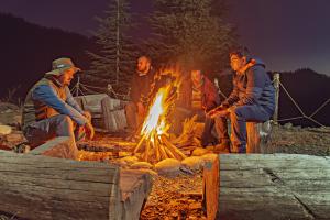 Nesta Narkanda Cottage, Rooms and Guided Treks