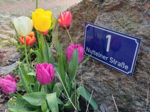 Ferienwohnung, Schlafzimmer 2