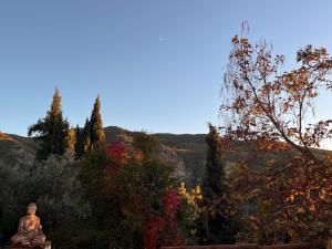 Fundalucia Guesthouse