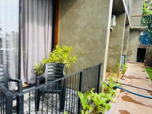 New Diyakawa Boutique Hotel