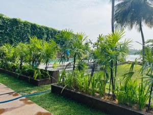 New Diyakawa Boutique Hotel