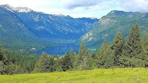 Cozy Alpine Apartment Stare Bohinj