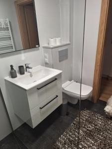 Apartament z andresolą
