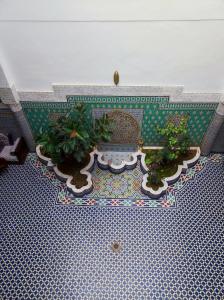 Riad Benkirane Fes medina