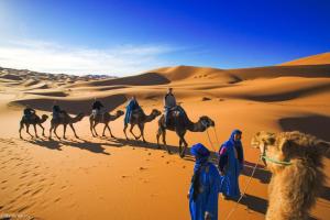 Achabou Luxury Camp