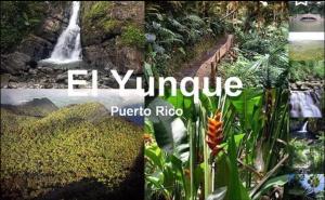 Panchitas Place Apt 1