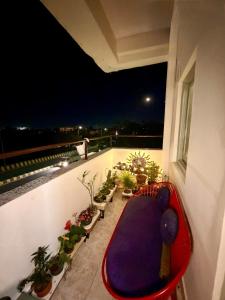 Shivalik Nest
