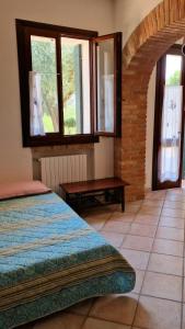 Among olive trees and vineyards in complete relax - Torreselle