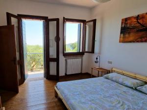 Among olive trees and vineyards in complete relax - Torreselle