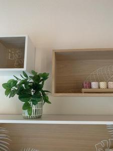 Grace Apartment in Sardinia img6