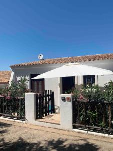 Grace Apartment in Sardinia img14