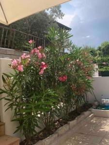 Grace Apartment in Sardinia img15