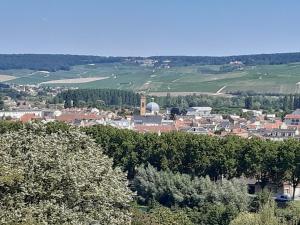 VICTORINE avenue de Champagne Epernay