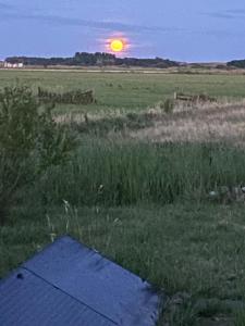 Oomes Huus - Sleep by Hästens, Wake with Coffee