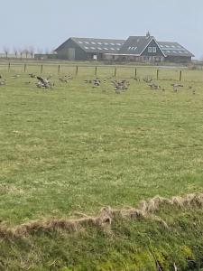 Oomes Huus - Sleep by Hästens, Wake with Coffee