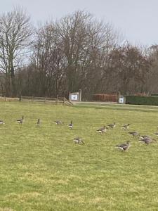 Oomes Huus - Sleep by Hästens, Wake with Coffee