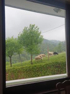 Farrmhouse with Goats and Garden