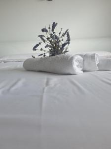 Farrmhouse with Goats and Garden