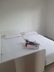 Farrmhouse with Goats and Garden