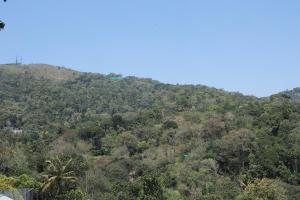Eagle Nest Hotel Thekkady