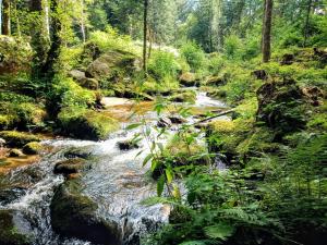 Gîte Aquilæ - Nature, sauna & bain nordique privatifs