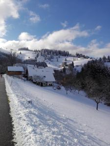 Panorama Fewo Stadtblick Zimmerthaisenhof
