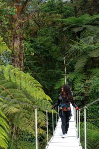 Hotel - Díaz de Descanso