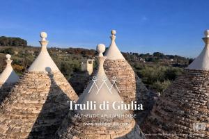 Luxury Trulli di Giulia, exclusive villa with private pool in Valle dItria, Puglia