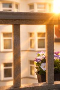 Veloria Stay Antwerp NR1