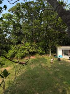 Mysti Hill House