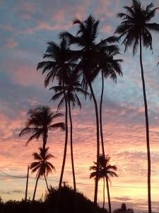 By The C Cabanas