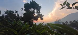 Nandanas Residency Munnar - A 4BHK Homestay for Indian Families