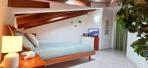 Sky Alguerhouse img16