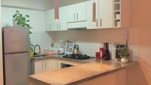 Hermoso Depa Estreno San Miguel