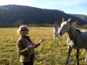 B&B / Chambres d'hotes Les Arts Verts : photos des chambres