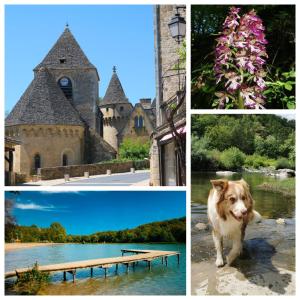 Les gîtes de la Toureille